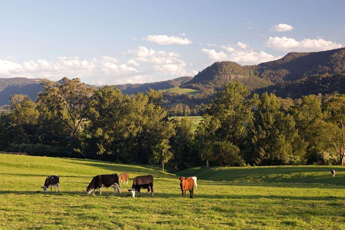 Kangaroo Valley Video Thumb