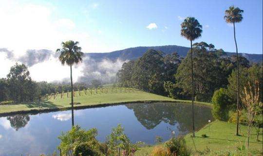 Yarrawa Estate Winery