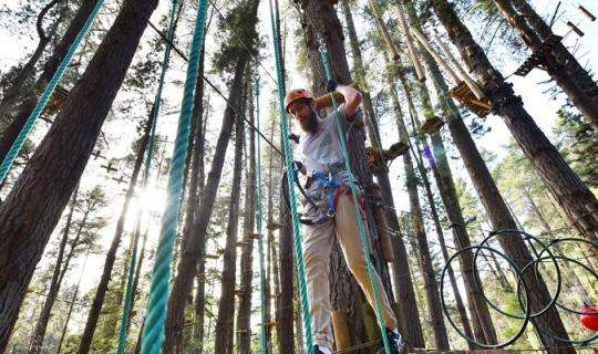 treetops adventure