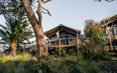 Try Glamping on the South Coast