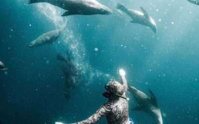 Breath-defying! – Freediving Jervis Bay