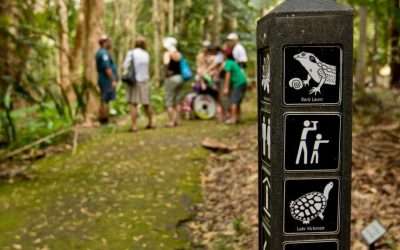 Spring Awakening: Explore Shoalhaven’s Gardens & Native Flora