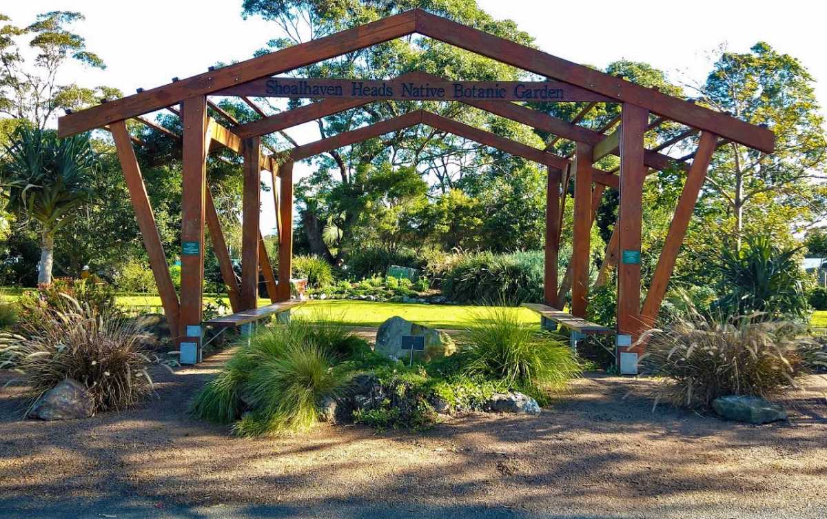 Image: Shoalhaven Heads Native Botanic Garden (https://www.shnbotanicgarden.org/))