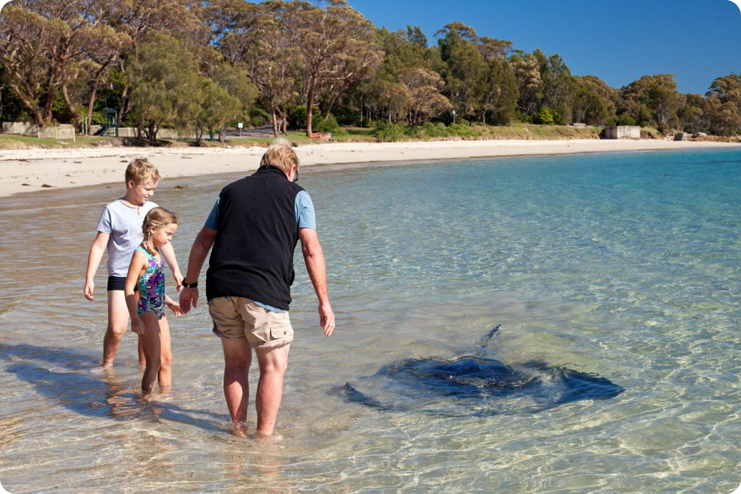 Get access to 12 Parks in the Shoalhaven region with your Holiday Parks Membership